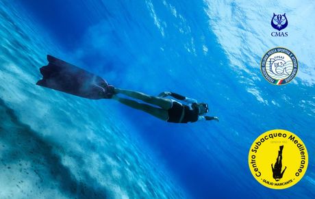 esempio di tessera del Centro, retro con dettagli anagrafici