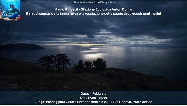 locandina incontro del 4 febbraio 2026 ore 17:00 sulla subacquea scientifica, riprende dall'alto il golfo nei pressi dell'area marina protetta di Portofino